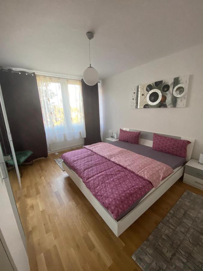 Moderne, Gemutliche Ferienwohnung Mainz Oberstadt Mit Wlan Und Parkplatz For Business And Family Ngoại thất bức ảnh
